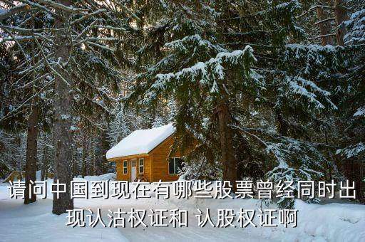 請(qǐng)問中國(guó)到現(xiàn)在有哪些股票曾經(jīng)同時(shí)出現(xiàn)認(rèn)沽權(quán)證和 認(rèn)股權(quán)證啊