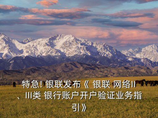 特急! 銀聯(lián)發(fā)布《 銀聯(lián) 網(wǎng)絡(luò)II、III類 銀行賬戶開戶驗(yàn)證業(yè)務(wù)指引》