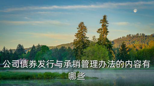 公司債券發(fā)行與承銷管理辦法的內容有哪些