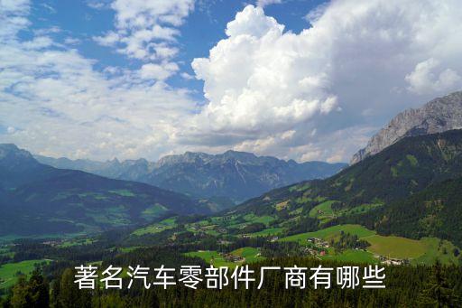著名汽車(chē)零部件廠商有哪些