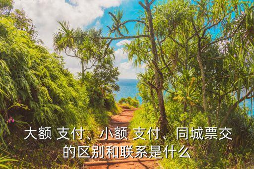  大額 支付、小額 支付、同城票交的區(qū)別和聯(lián)系是什么