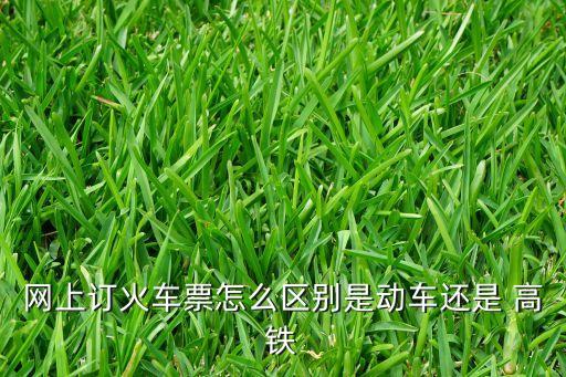 網(wǎng)上訂火車(chē)票怎么區(qū)別是動(dòng)車(chē)還是 高鐵