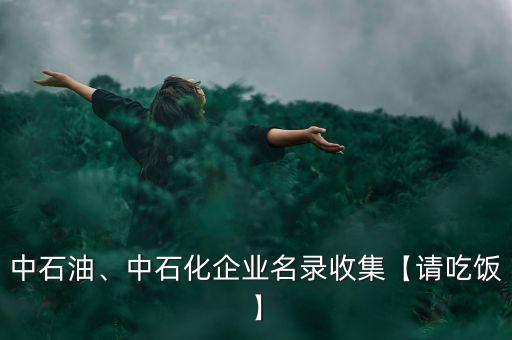 中石油、中石化企業(yè)名錄收集【請吃飯】