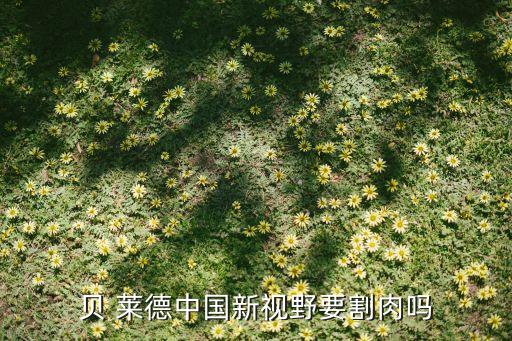 貝 萊德中國(guó)新視野要割肉嗎