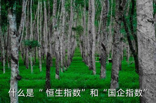 什么是“ 恒生指數(shù)”和“國(guó)企指數(shù)”