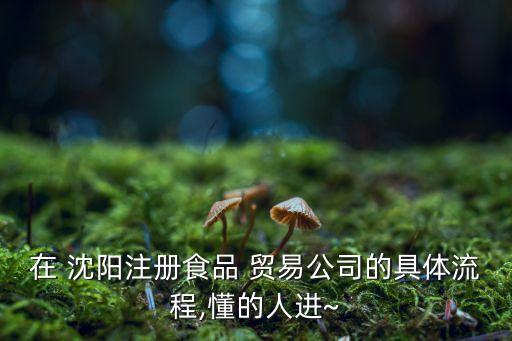 在 沈陽注冊食品 貿易公司的具體流程,懂的人進~