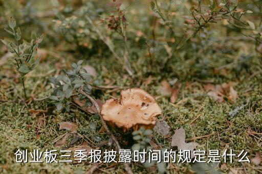 創(chuàng)業(yè)板上市公司半年度報告的內容與格式