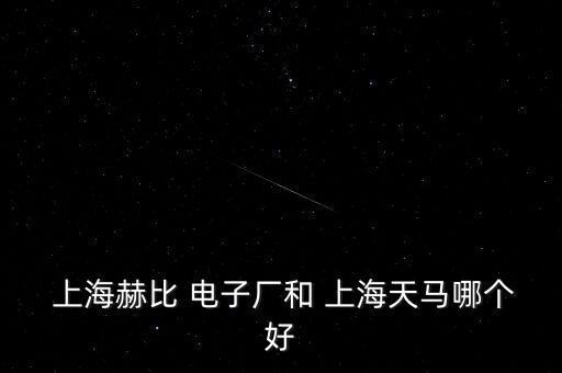  上海赫比 電子廠(chǎng)和 上海天馬哪個(gè)好
