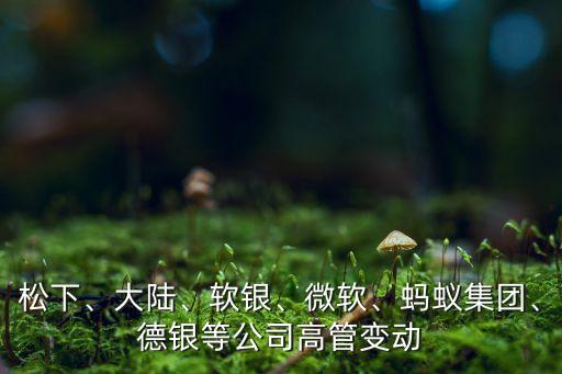 松下、大陸、軟銀、微軟、螞蟻集團、德銀等公司高管變動