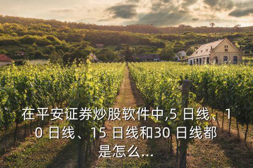 在平安證券炒股軟件中,5 日線、10 日線、15 日線和30 日線都是怎么...