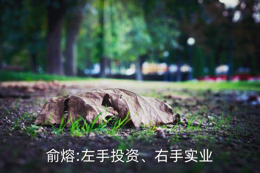俞熔:左手投資、右手實業(yè)