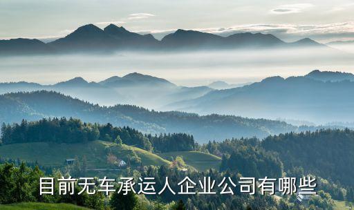 目前無(wú)車(chē)承運(yùn)人企業(yè)公司有哪些