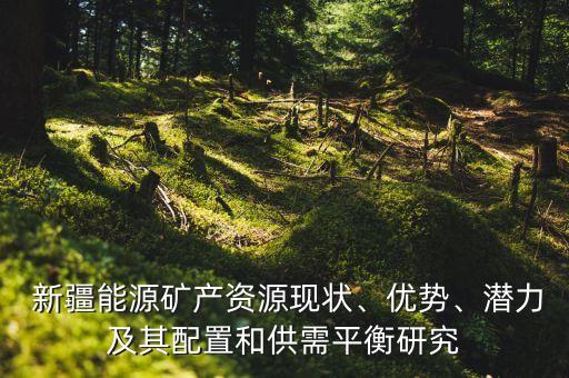  新疆能源礦產(chǎn)資源現(xiàn)狀、優(yōu)勢、潛力及其配置和供需平衡研究