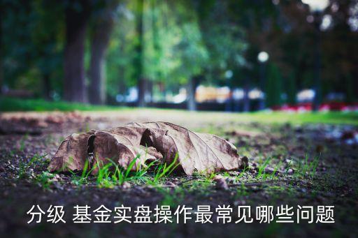  分級 基金實(shí)盤操作最常見哪些問題