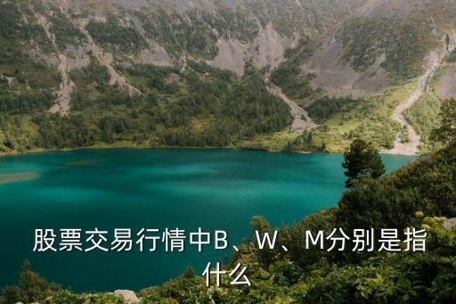  股票交易行情中B、W、M分別是指什么