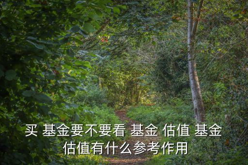 買(mǎi) 基金要不要看 基金 估值 基金 估值有什么參考作用