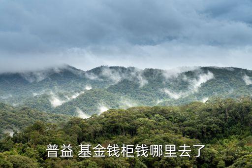 普益 基金錢(qián)柜錢(qián)哪里去了