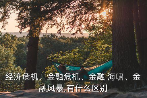 經(jīng)濟(jì)危機(jī)、金融危機(jī)、金融 海嘯、金融風(fēng)暴,有什么區(qū)別