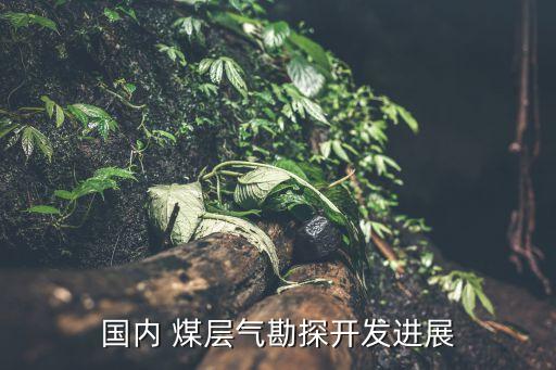 國內(nèi) 煤層氣勘探開發(fā)進展