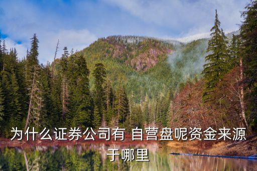 券商自營(yíng)股票,股票券商自營(yíng)盤怎么查