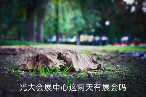 中國上海國際婚紗攝影器材展覽會,上海婚紗攝影器材展2023時間