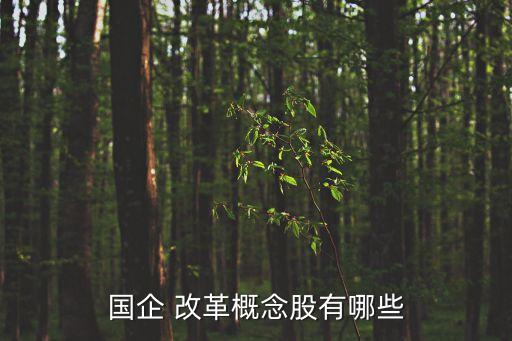 國(guó)企 改革概念股有哪些