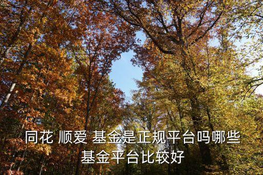 同花順愛基金網頁