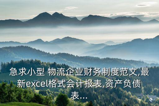 急求小型 物流企業(yè)財務(wù)制度范文,最新excel格式會計(jì)報表,資產(chǎn)負(fù)債表...