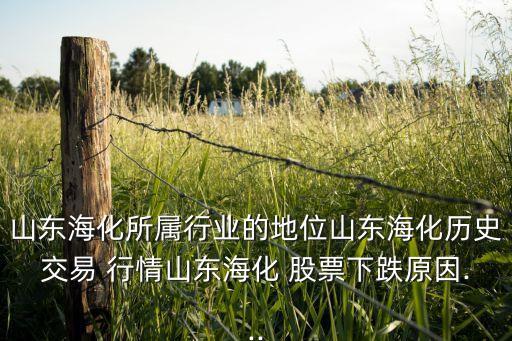 山東?；鶎傩袠I(yè)的地位山東?；瘹v史交易 行情山東?；?股票下跌原因...