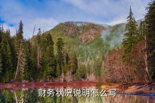 公司經(jīng)營及資金狀況,公司注冊(cè)資本和經(jīng)營資金
