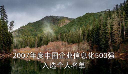 2007年度中國企業(yè)信息化500強(qiáng)入選個(gè)人名單