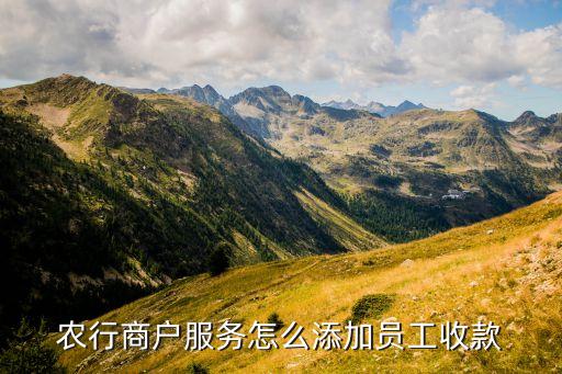 中國農業(yè)銀行e商管家