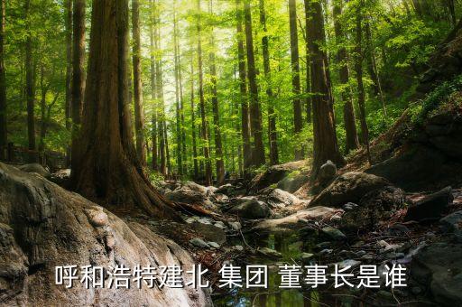 銀座集團董事長,山東銀座集團董事長