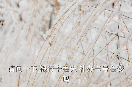 請問一下 銀行卡丟失 補(bǔ)辦卡號會變嗎