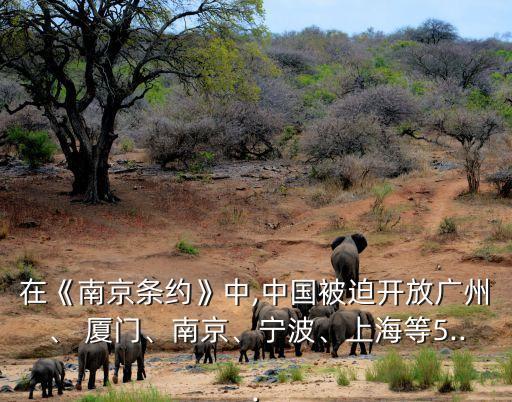 在《南京條約》中,中國(guó)被迫開(kāi)放廣州、 廈門(mén)、南京、寧波、上海等5...