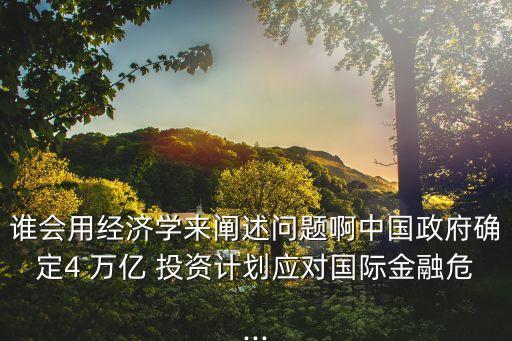 誰會(huì)用經(jīng)濟(jì)學(xué)來闡述問題啊中國(guó)政府確定4 萬億 投資計(jì)劃應(yīng)對(duì)國(guó)際金融危...