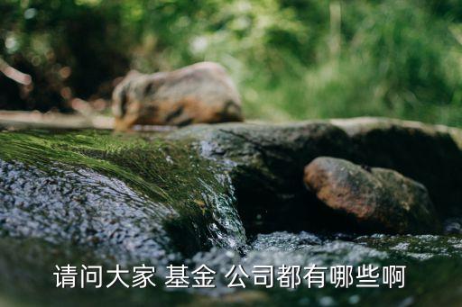 請(qǐng)問大家 基金 公司都有哪些啊