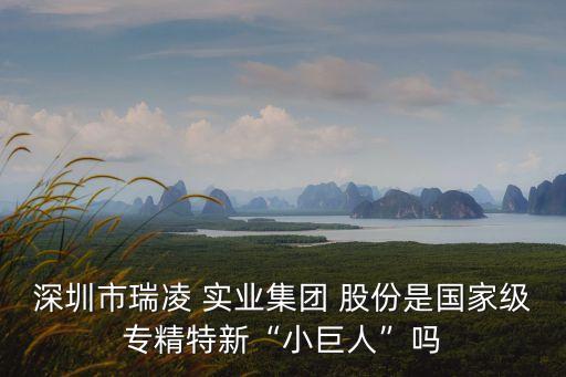 深圳市瑞凌 實業(yè)集團(tuán) 股份是國家級專精特新“小巨人”嗎