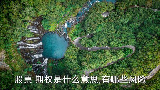  股票 期權是什么意思,有哪些風險