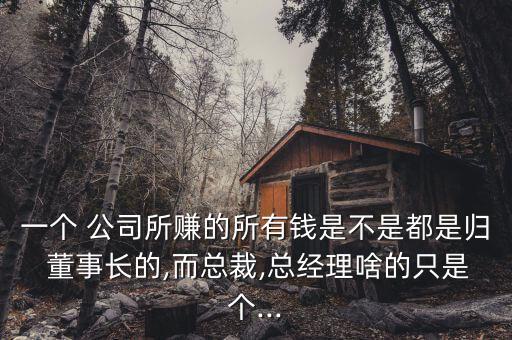 一個(gè) 公司所賺的所有錢(qián)是不是都是歸 董事長(zhǎng)的,而總裁,總經(jīng)理啥的只是個(gè)...
