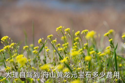 舟山大永集團有限公司,中國礦產資源集團舟山發(fā)展有限公司