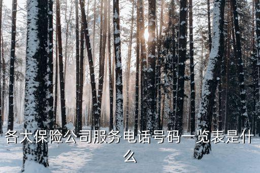 各大保險公司服務電話號碼一覽表是什么