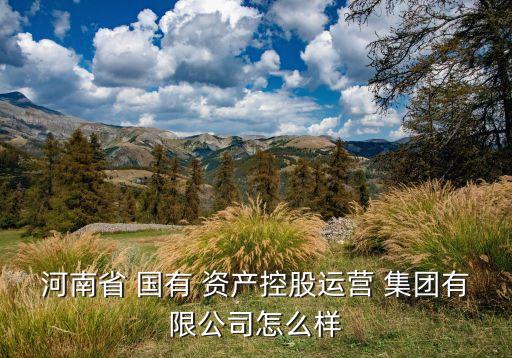 河南省 國有 資產(chǎn)控股運營 集團(tuán)有限公司怎么樣