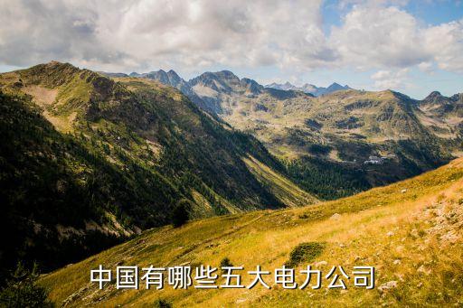 中國國電集團的性質,滎陽國電集團性質是什么