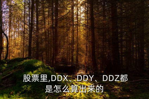  股票里,DDX、DDY、DDZ都是怎么算出來(lái)的