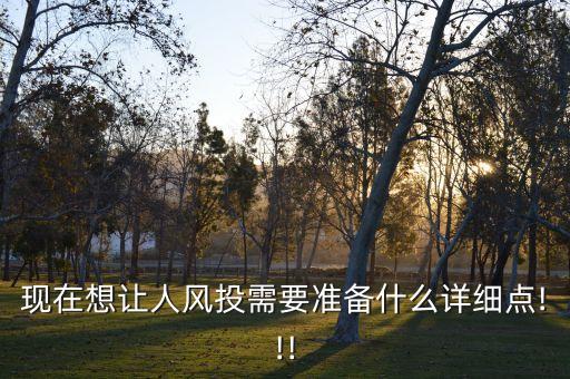 現(xiàn)在想讓人風(fēng)投需要準(zhǔn)備什么詳細(xì)點!!!