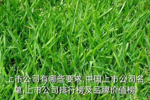 上市公司有哪些要求,中國上市公司名單,上市公司排行榜及品牌價(jià)值榜
