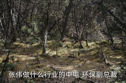 中電加美環(huán)?？萍脊煞萦邢薰?安徽中電環(huán)保科技股份有限公司