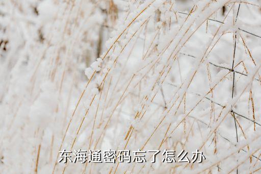 東?；鸸?/></a></span><span id=