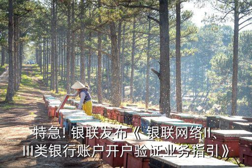 特急! 銀聯(lián)發(fā)布《 銀聯(lián)網(wǎng)絡(luò)II、III類銀行賬戶開戶驗(yàn)證業(yè)務(wù)指引》